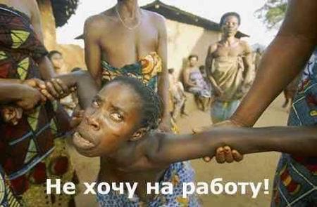 Фотоприколы