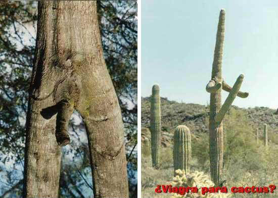 Фотоприколы