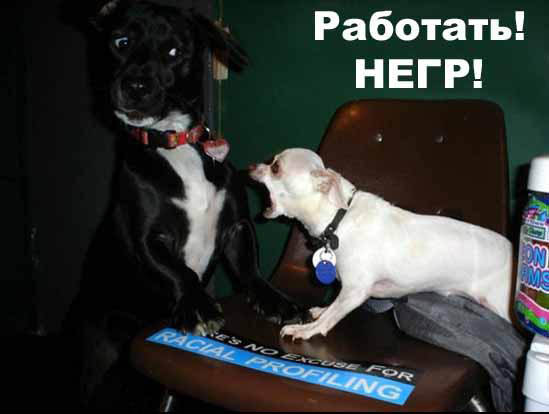 Фотоприколы